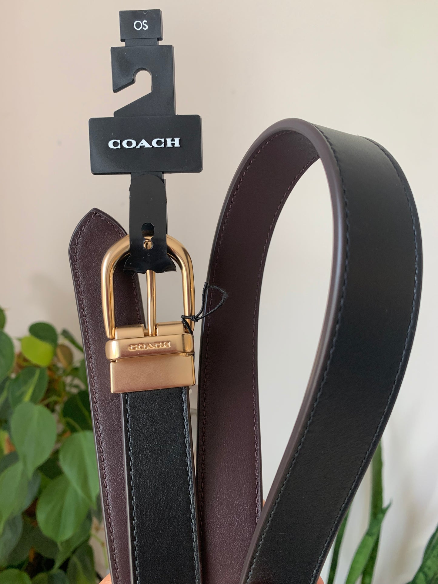 Coach Belt Reversible