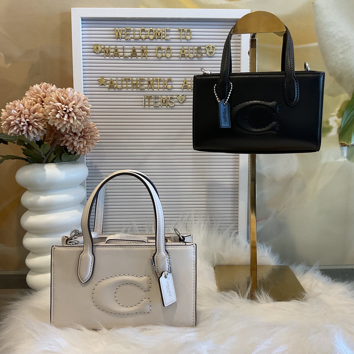 Coach Mini Nina