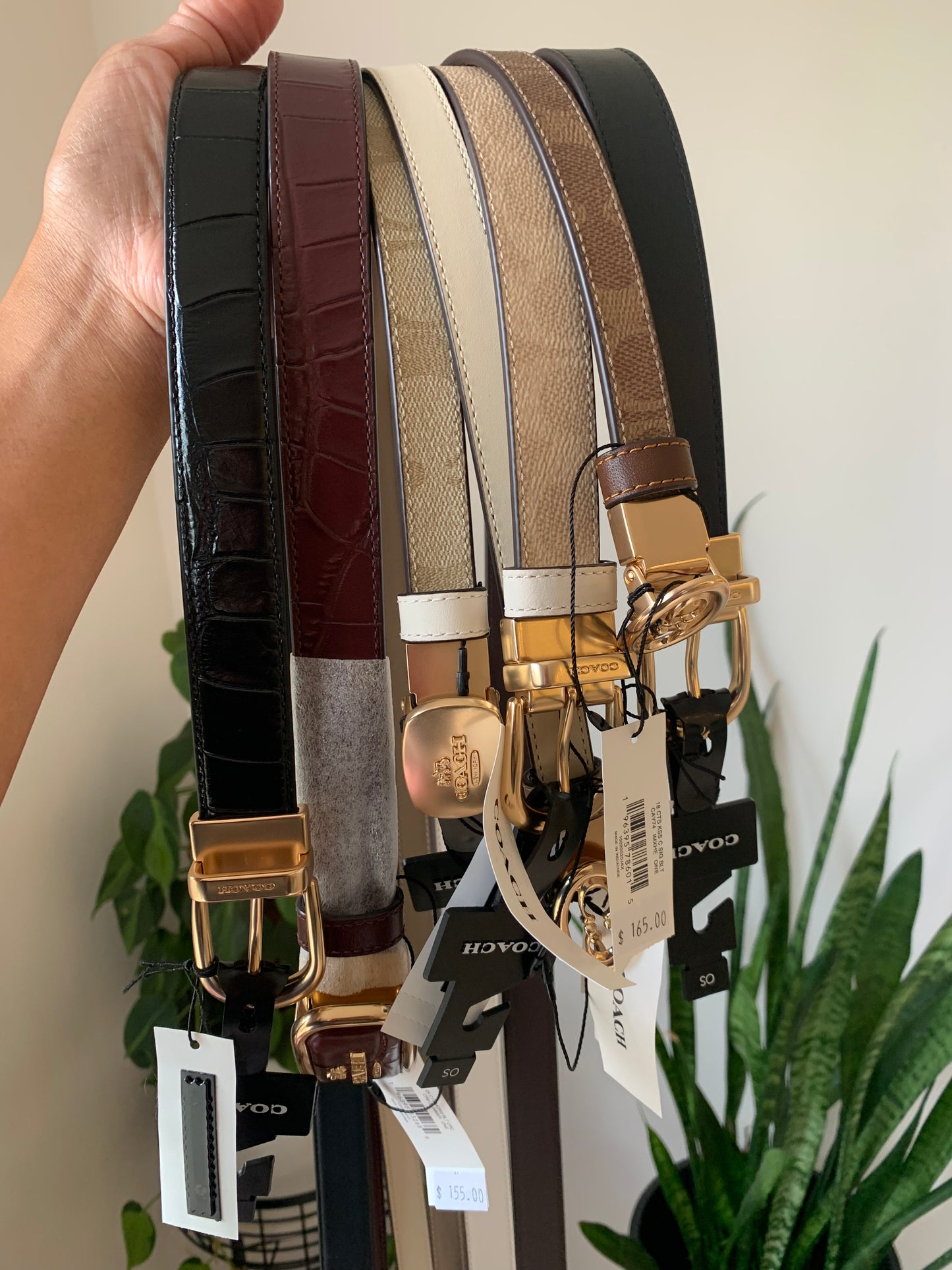 Coach Belt Reversible