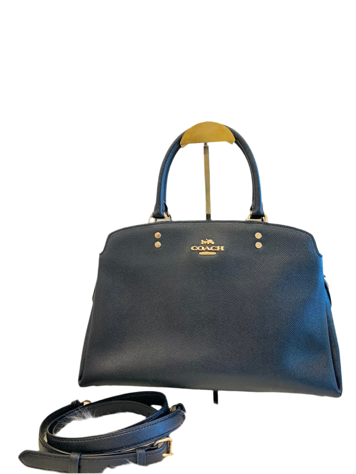 Coach Lily Carryall