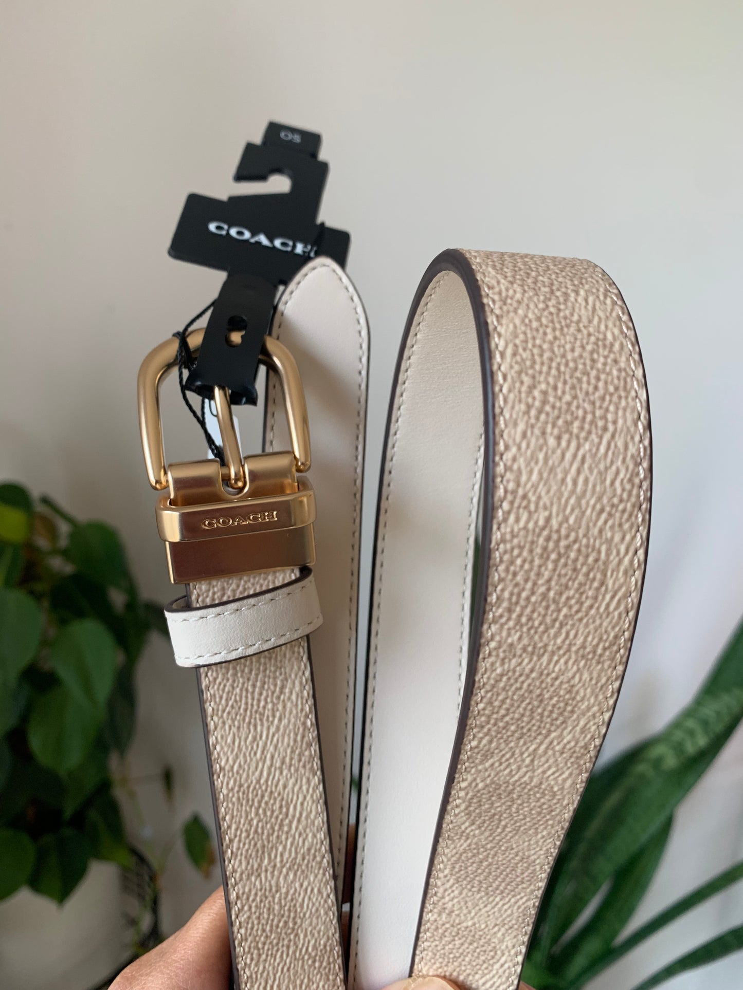 Coach Belt Reversible