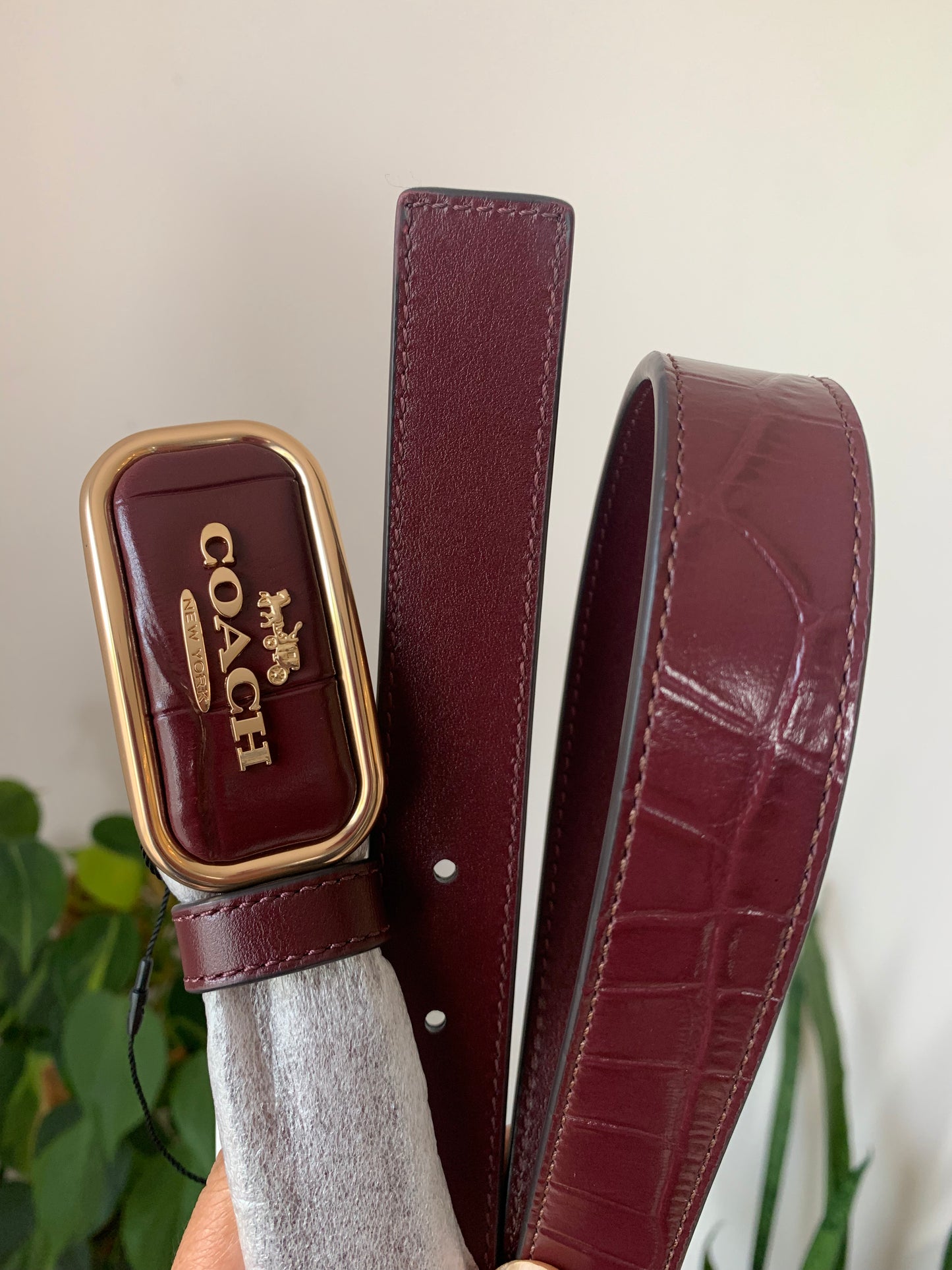 Coach Belt Reversible