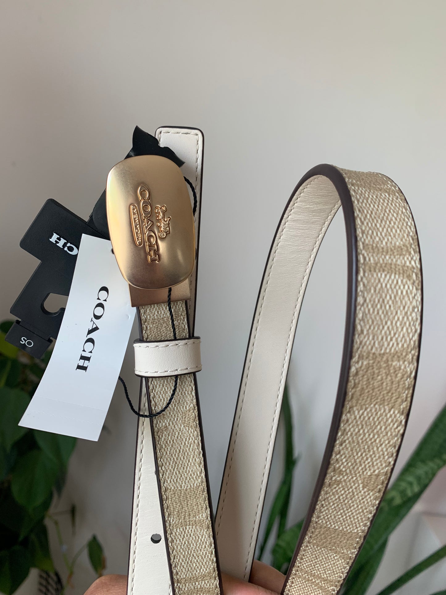 Coach Belt Reversible