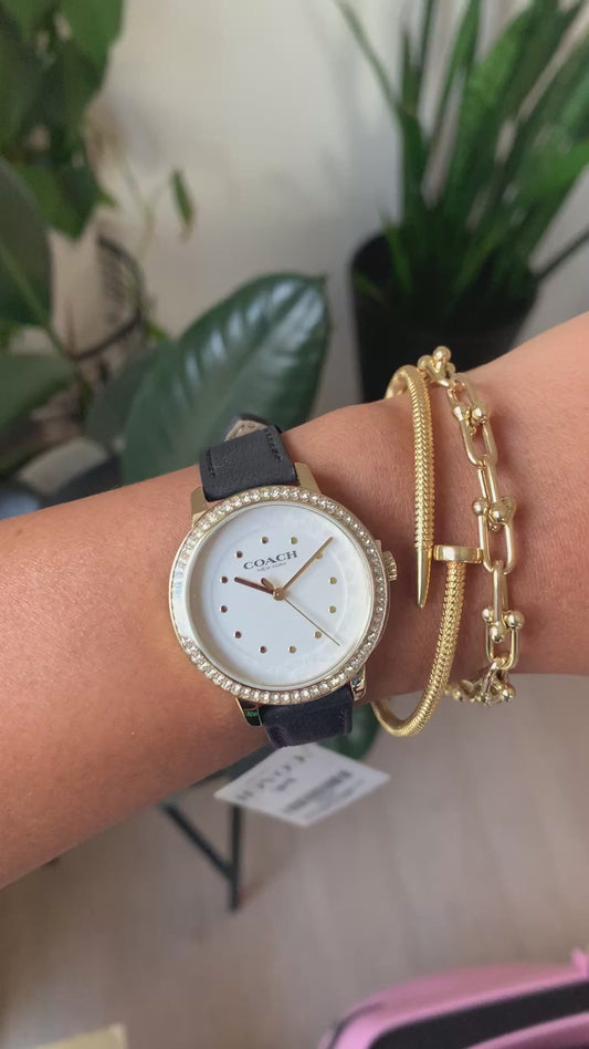 Coach Ladies Rayden Watch (Brand New)